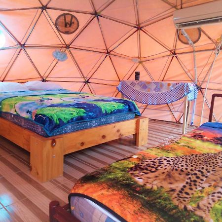 فندق Nativa Whale Domes Puerto López المظهر الخارجي الصورة
