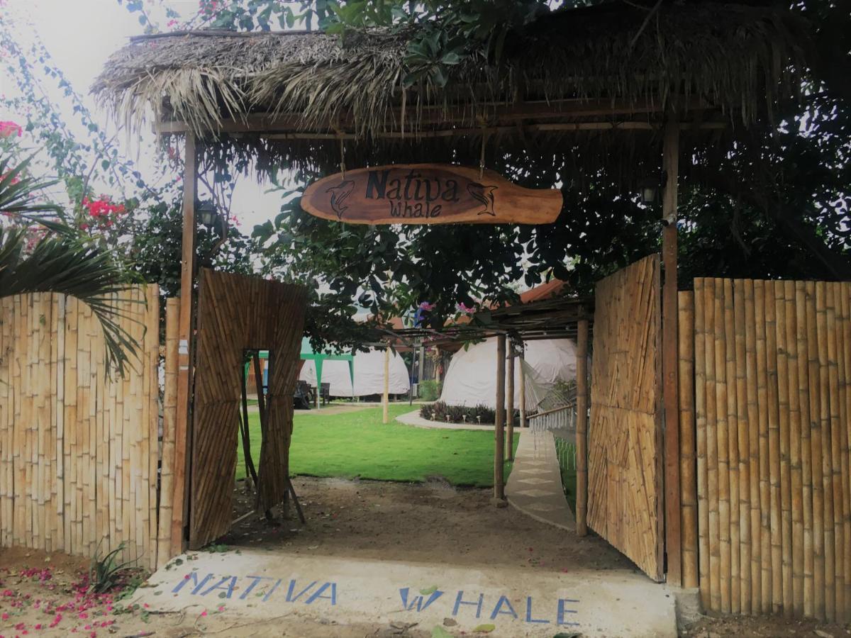 فندق Nativa Whale Domes Puerto López المظهر الخارجي الصورة